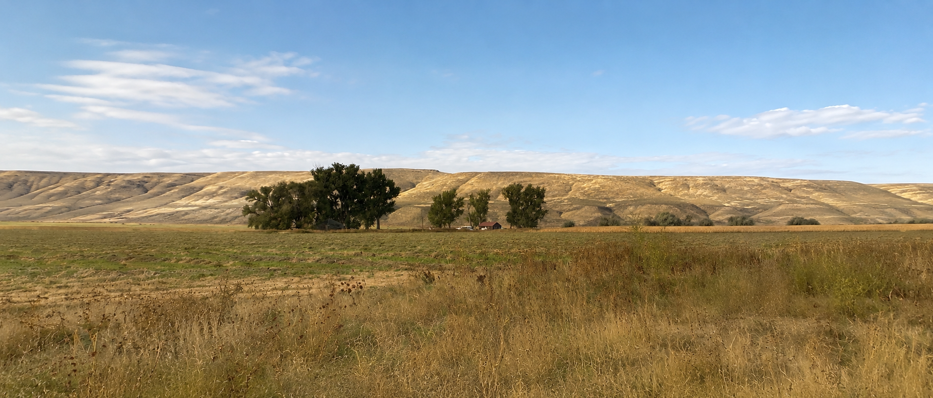 Golden autumn grass and cottonwood trees along the Malheur River at the Dahle Ranch
